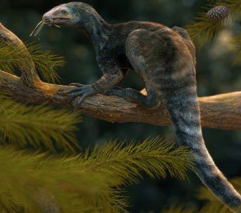 New Species of Pterosaur, Similar to Raptor but with Long Arms and Sword-Like Claws