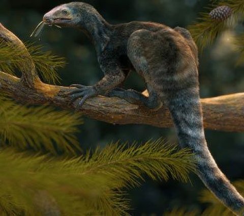 New Pterosaur Species, Similar to Raptors but with Long Arms and Sword-like Claws