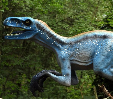 “<i>Sampai saat ini, kita hanya memiliki sedikit hewan herbivora dan hanya satu yang merupakan dinosaurus, sehingga hal ini menimbulkan suatu misteri</i>.”