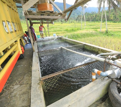 Mitsubishi Fuso Bawa Cuan di Danau Maninjau