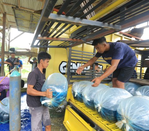 Mitsubishi Fuso Bawa Cuan di Danau Maninjau