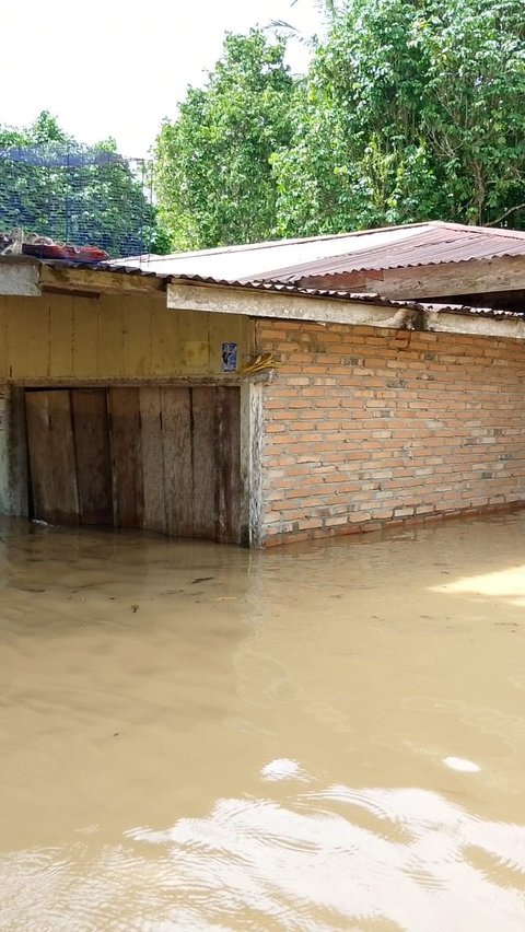 Banjir Rob Terjang 10 Kecamatan dan 25 Desa di Merangin, 1.094 Warga Mengungsi