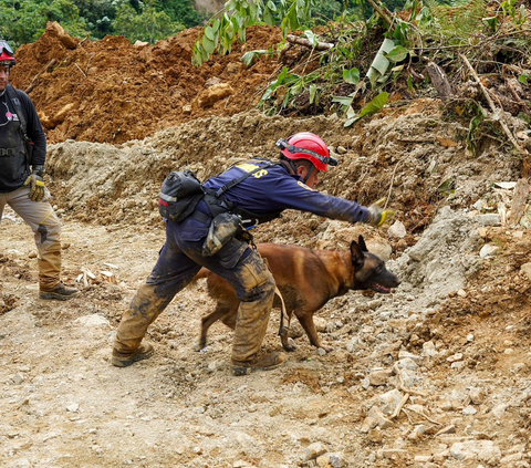 FOTO: Di Tengah Musim Kering, Guyuran Hujan Deras di Kolombia Tewaskan 33 Orang Akibat Terkubur Tanah Longsor