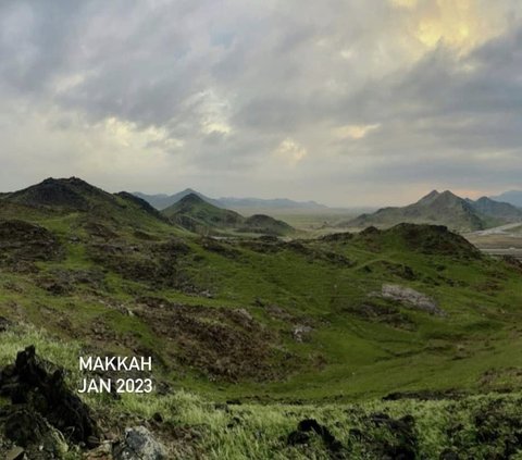 The Greening of Mecca Mountains Increasing Over the Last 5 Months, What Does It Mean?