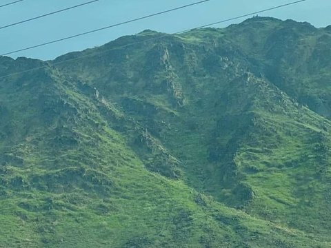 The Mountains of Mecca Have Become Greener Over the Last 5 Months, What Does It Indicate?