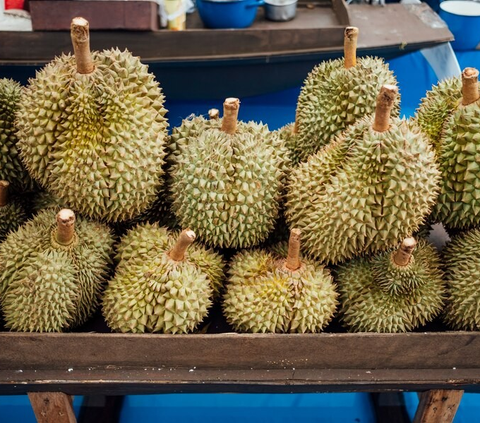 7 Manfaat Biji Durian untuk Pria, Bantu Tingkatkan Kesuburan