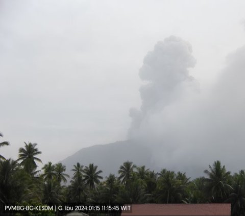 Gunung Ibu di Maluku Utara Meletus, Lontarkan Abu Setinggi 1 Km