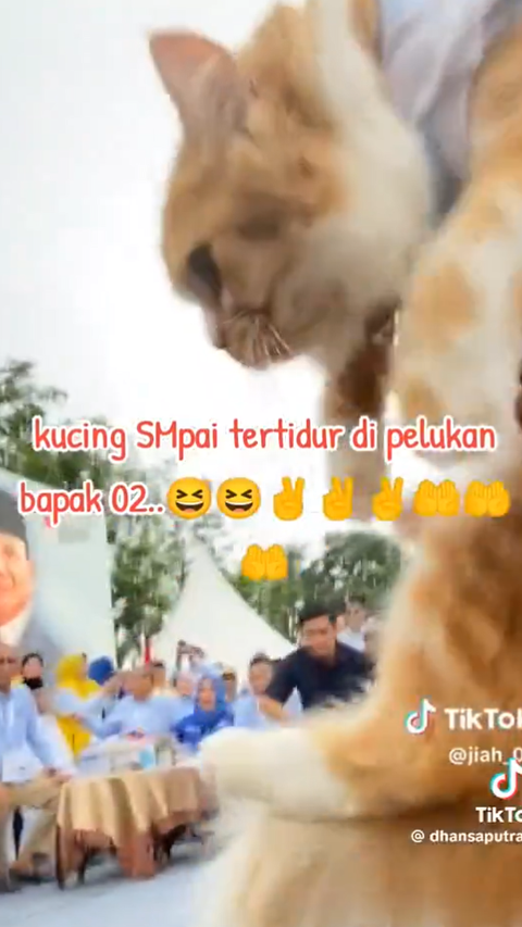Prabowo Subianto Mendadak Berhenti Pidato Saat Kampanye, Ternyata karena Lihat Kucing Gemoy Milik Warga, Langsung Digendong ke Panggung
