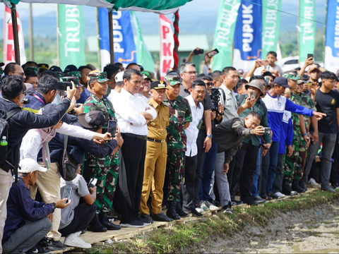 Pupuk Hingga Solar, Pemerintah Siap Fasilitasi Kebutuhan Petani Saat Masa Tanam