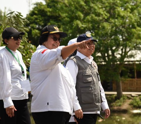 Perubahan Iklim Ancam Penduduk Dunia, Pemerintah Antisipasi dengan Menanam Pohon & Perbaiki Lingkungan