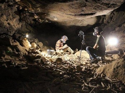 Bikin Arkeolog Terperanjat, Gua Berusia 7.000 Tahun di Saudi Ini Dipenuhi Tumpukan Tulang Belulang