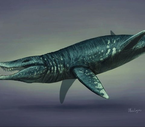 Excitement Over the Discovery of a Prehistoric 'Sea Monster' Skull Fossil on the Coast of England, Its Shape is Gigantic