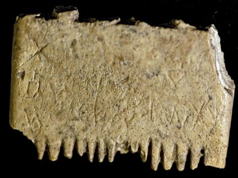 Kalimat Tertua di Dunia Ditemukan Pada Sisir dari Gading Binatang, Isi Tulisannya Kocak