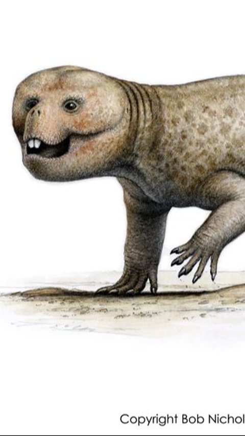Ancient Creatures Extinct Due to Their Own Actions, Their Teeth Became Blunt and Unable to Chew