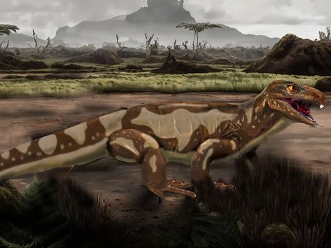 Sensational Discovery of Scaled Animal Skin Like a 288 Million-Year-Old Reptile