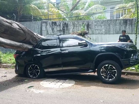 Ada Pohon Tumbang di Dekat Rumah Prabowo, Fortuner Ringsek