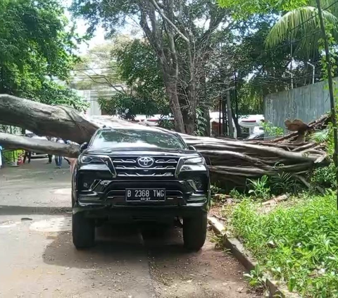 Ada Pohon Tumbang di Dekat Rumah Prabowo, Fortuner Ringsek