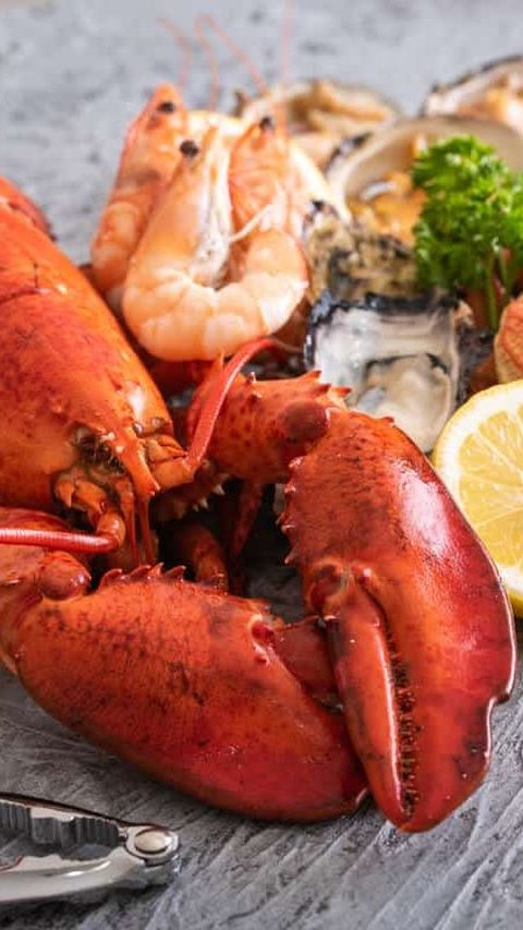 4. Astaxanthin dalam Lobster<br>