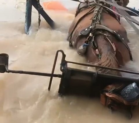 Terdampak Banjir, Siswa Ini Tetap Semangat Berangkat Sekolah Naik Delman