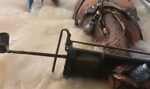 Terdampak Banjir, Siswa Ini Tetap Semangat Berangkat Sekolah Naik Delman