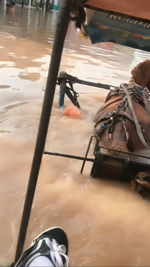 Terdampak Banjir, Siswa Ini Tetap Semangat Berangkat Sekolah Naik Delman<br>