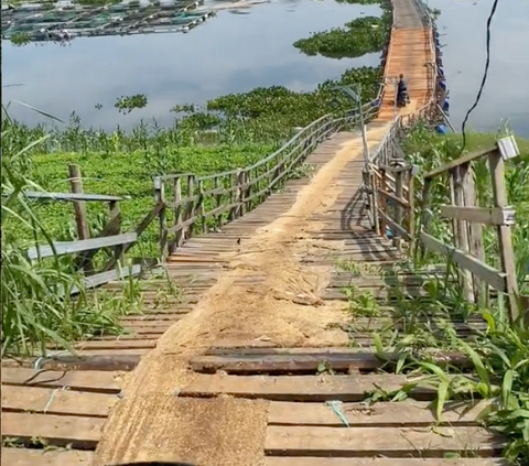 Viral Momen Suami Istri Lewati Jembatan Kayu, Warganet Ikut Deg-degan