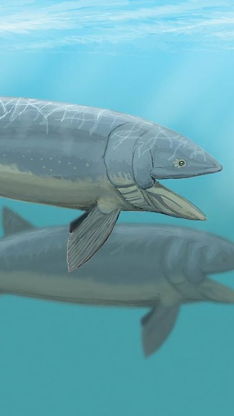 Heboh Penemuan Spesies Baru Ikan Purba dari Hasil Fosil Tengkorak Jutaan Tahun Lalu