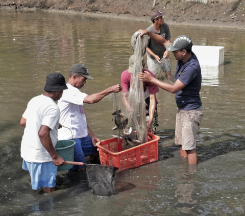 Upaya KKP Lawan Pencurian Ikan dengan Penangkapan Terukur Dapat Dukungan FAO