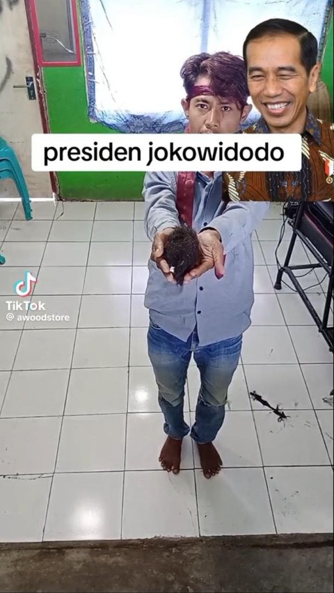 Di awal video, ia tampak menunjukkan serpihan rambut sebagai bahan untuk gambar Presiden Jokowi. Ia juga menyertakan foto yang akan ia jadikan gambar.
