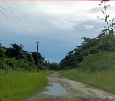 Kisah Pak Priono, Warga Cilacap yang Tinggal di Pelosok Hutan Suriname