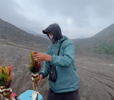 Bunga Edelweis Dilindungi Tapi di Gunung Bromo Kok Bisa Dijual Belikan? Ternyata Ini Alasannya