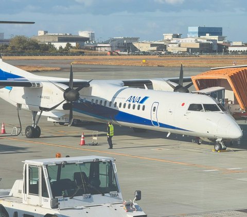 Passenger Goes Berserk, Bites Flight Attendant, Plane Turns Back