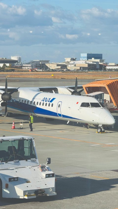 Passenger Goes Berserk, Bites Flight Attendant, Plane Turns Back