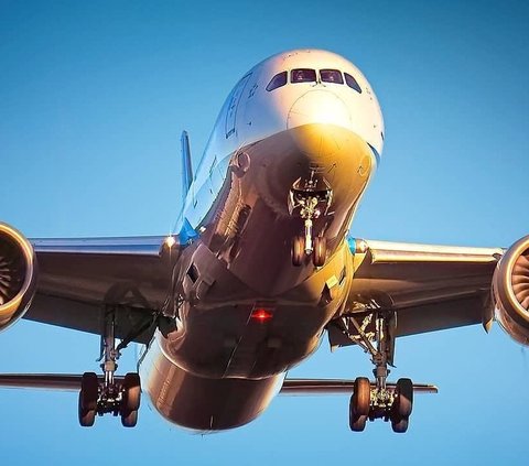 Passenger Goes Berserk, Bites Flight Attendant, Plane Turns Back