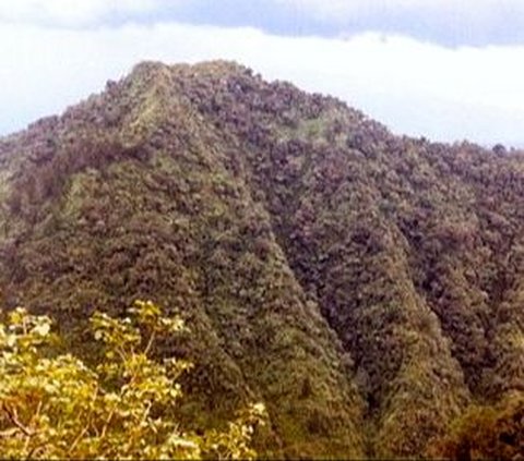 Sisi Menarik Bukit Turgo Pakem, Wisata Alam di Sleman yang Sarat Nilai Sejarah dan Pengetahuan