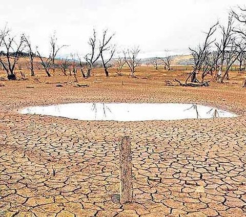 Pemerintah Akui Kurang Antisipasi Dampak El Nino di Indonesia