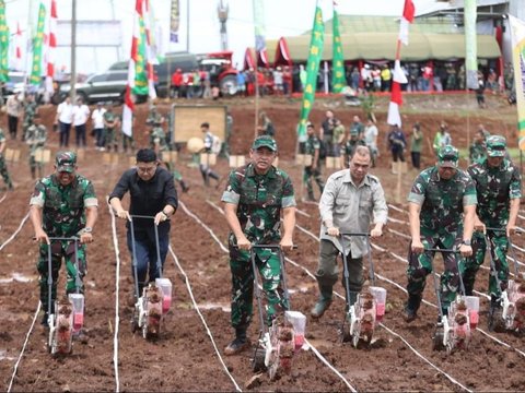 Berseragam Lengkap, Potret Kasad Jenderal Maruli Simanjuntak Terjun Langsung Bajak Tanah yang Tak Produktif