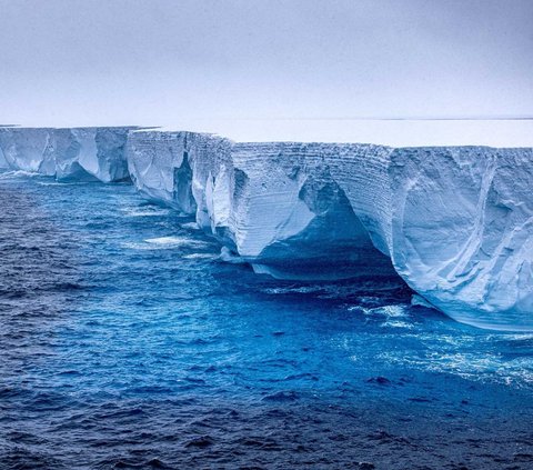 Gunung es terbesar di dunia, A23a terlihat mengapung di lautan Antartika, pada 14 Januari 2024. Untuk pertama kalinya dalam lebih dari tiga dekade, gunung es ini terombang-ambing di lautan terdorong angin dan arus kencang.
