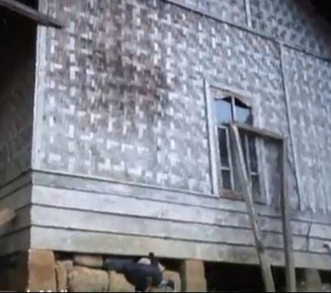 Portrait of Melly Lee's House Before and After Renovation, Once Bamboo-Walled Now Like a Mansion!