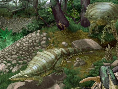 New Aetosaurus Species Discovered, Excavation to Be Conducted Soon