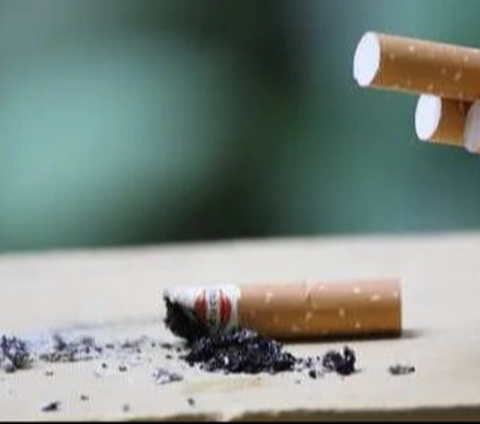 Industri Kreatif Temui Kemenparekraf Bahas Rencana Larangan Iklan Produk Tembakau, Ini Hasilnya