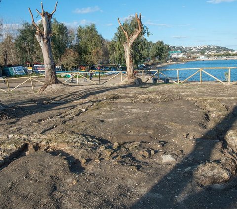 Rumah Pantai Mewah Berusia 2.000 Tahun Ditemukan di Lokasi Proyek, Ternyata Vila Zaman Romawi