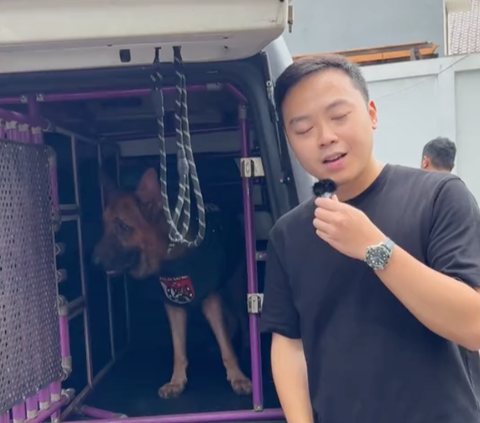 Gerebek Kandang Anjing Pelacak K9 Polda Metro Jaya, Begini Penampakannya yang Curi Perhatian