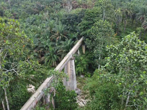 Jembatan di Simalungun Ini Disebut Jadi Salah Satu Terekstrem di Indonesia, di Baliknya Ada Pemandangan yang Indah Banget