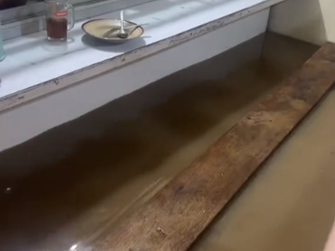 Viral Video: Warteg Flooded but Still Full of Hungry Customers, Vibes Feels Like Eating in Venice