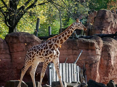 Lembang Park and Zoo