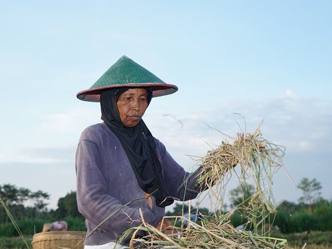 Pengertian dan Tujuan