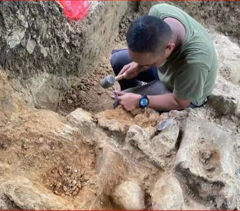 Menguak Fakta Fosil Utuh Gajah Purba di Patiayam Kudus, Diperkirakan Usianya Capai Jutaan Tahun