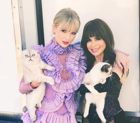 As Rich as its Owner, Taylor Swift's Cat's Wealth Can Make the Employer's Lover Feel Inferior