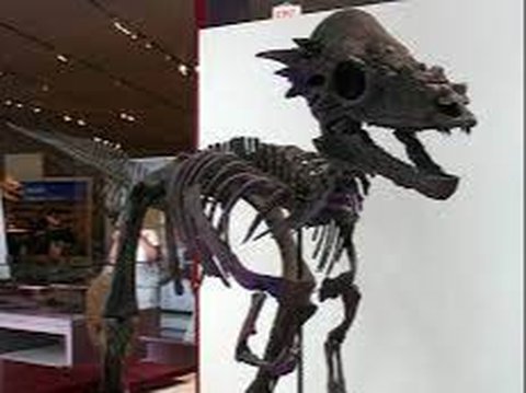 2 Jenis Dinosaurus Baru Ditemukan, Bentuknya Aneh